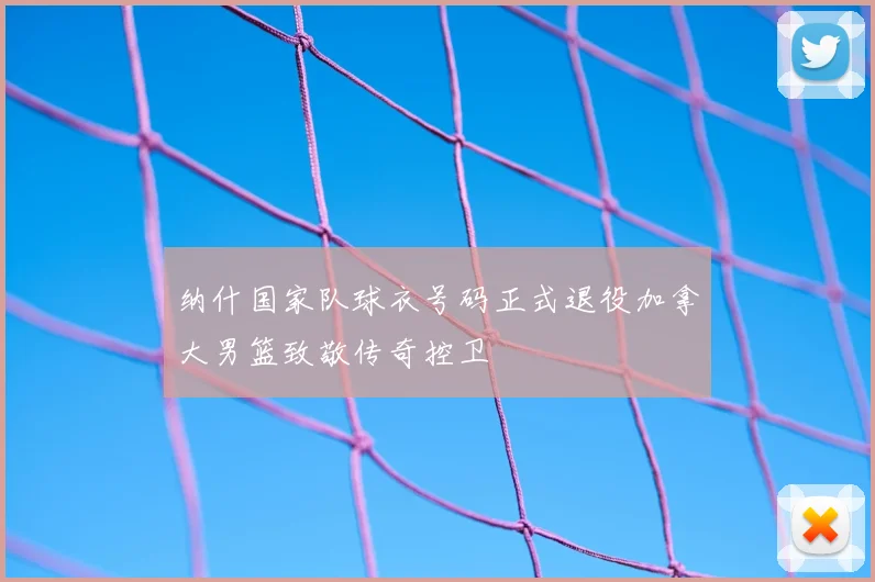 纳什国家队球衣号码正式退役加拿大男篮致敬传奇控卫