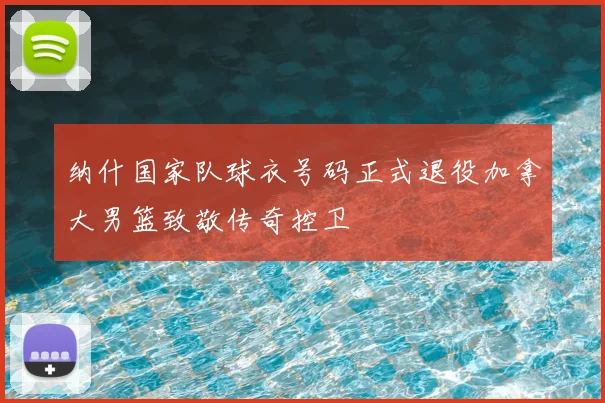 纳什国家队球衣号码正式退役加拿大男篮致敬传奇控卫