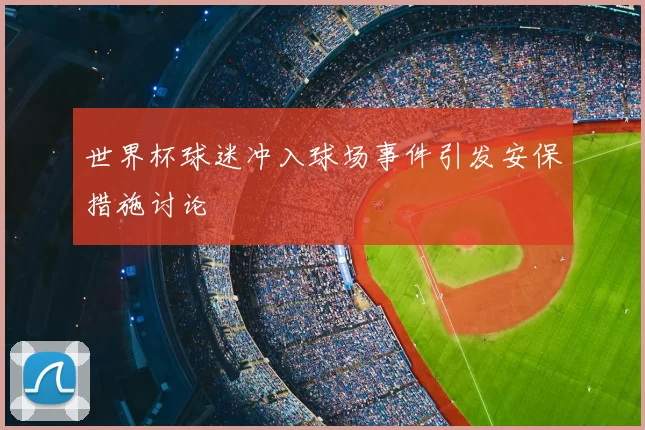 世界杯球迷冲入球场事件引发安保措施讨论