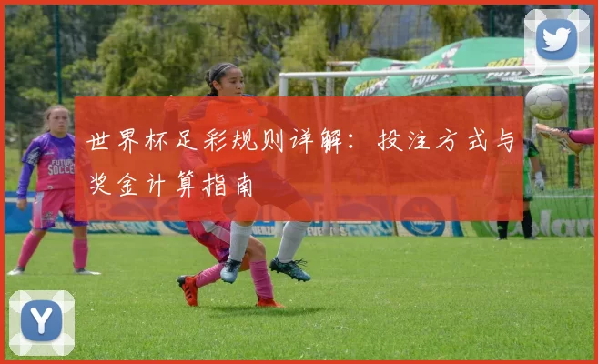 世界杯足彩规则详解：投注方式与奖金计算指南