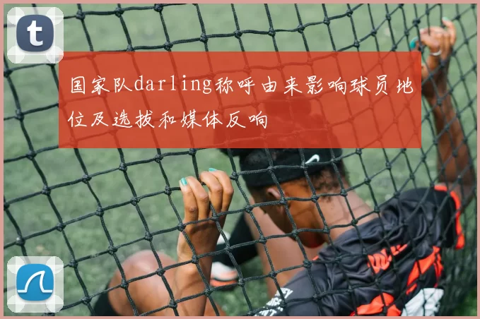 国家队darling称呼由来影响球员地位及选拔和媒体反响