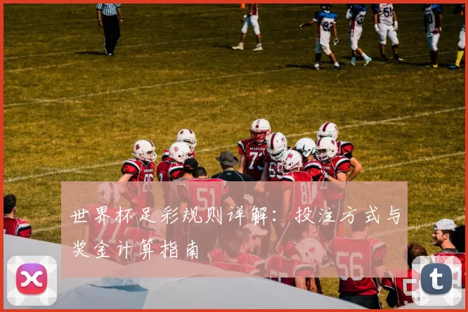 世界杯足彩规则详解：投注方式与奖金计算指南